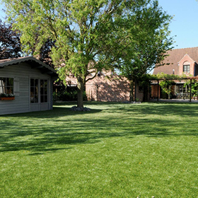 Artificial Grass