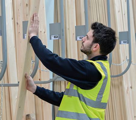 Timber Cutting