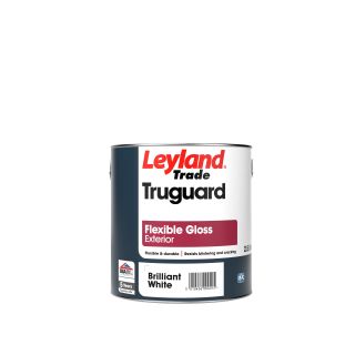 Leyland 2.5Ltr Flexible Exterior Gloss Brilliant White