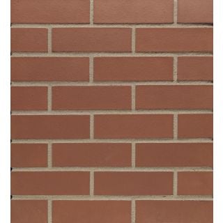 Staffordshire Smooth Red