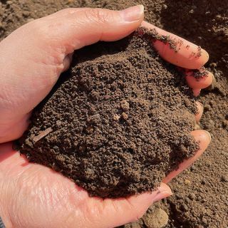 Boughton 500Ltr Bulk Bag Screened Topsoil Horticultural Loam