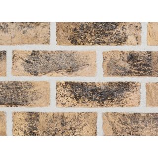 Sant Anselmo Venezia Bruciato Textured BGC