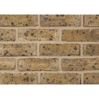 Danehill Yellow