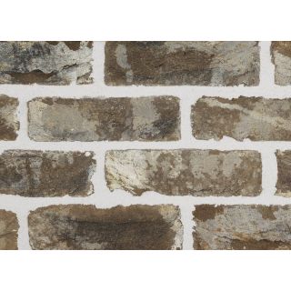 Sant Anselmo MIWA Tumbled
