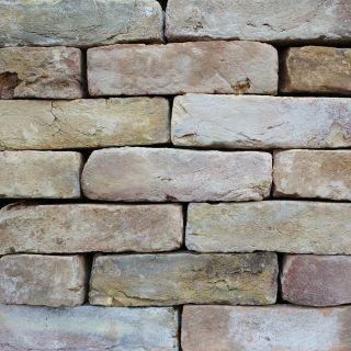 Capel Antique Buff - Reclaim