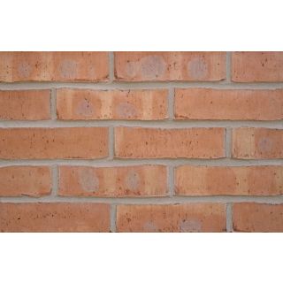 Shelton Russet