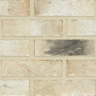 Alaska Sintered Rustic