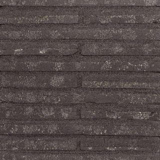 Roman Black