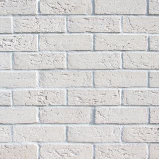 Polar White