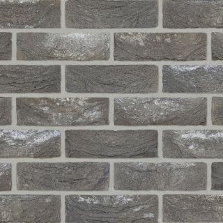 Everest Grey Multi