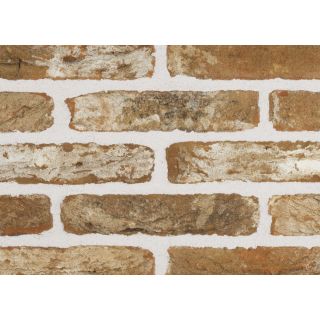 Sant Anselmo DDMWA Tumbled