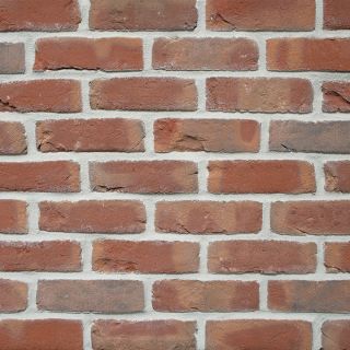 Buckland Light Red Multi 50mm