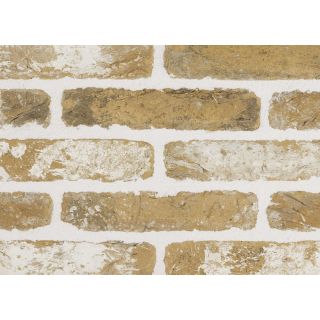 Sant Anselmo VTCWA Tumbled