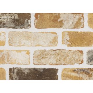 Sant Anselmo Torino Tumbled