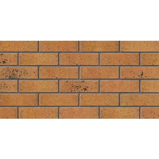 Marshalls 65mm Leighton Saffron