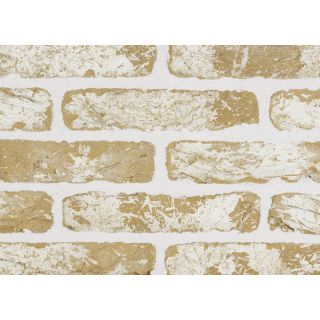 Sant Anselmo VTWA Tumbled