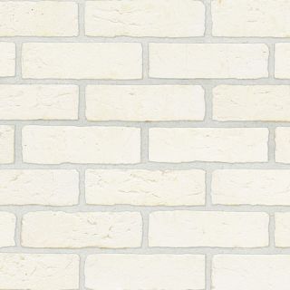 Arctic White