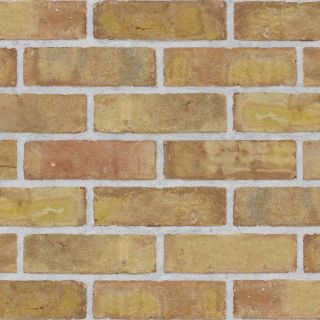 Rustic Yellow Metric