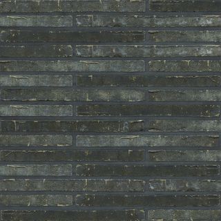 Roman Maax M.1.113