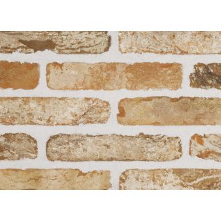 Sant Anselmo Irvine Tumbled
