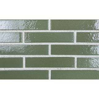 Olive Green 3302-L Glazed