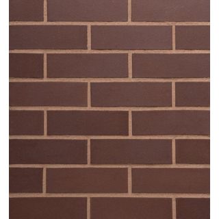Staffordshire Smooth Brown