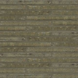 Roman Maax M.1.112