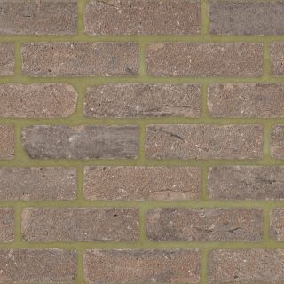Marine Light Brown