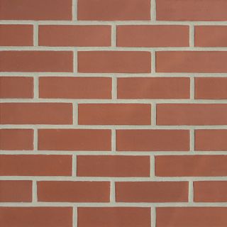 Knedlington Smooth Red Perf