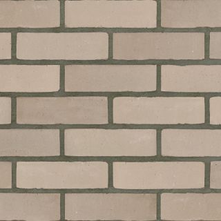 Pistache Waterstruck