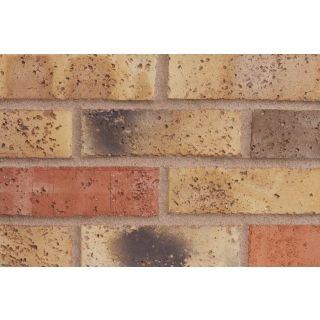 Cotswold Kensington English Mixture