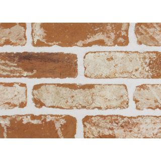 Sant Anselmo MNCWA Tumbled