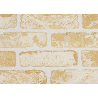 Sant Anselmo GBWA Tumbled