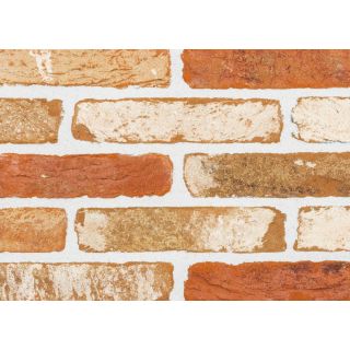 Sant Anselmo Sherwood Tumbled