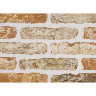 Sant Anselmo Norfolk Tumbled