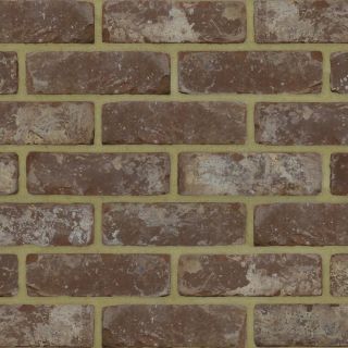 Marine Light Brown White