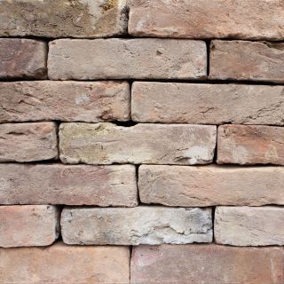 Thames Antique Light Buff