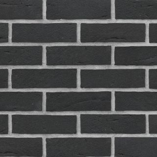 Nighthawk Black