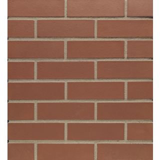 Staffordshire Smooth Red
