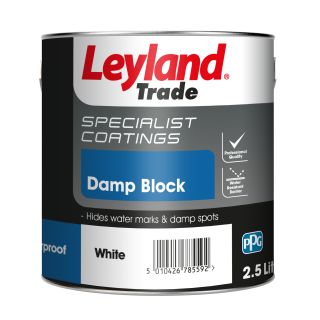 Leyland 2.5Ltr Specialist Coatings Damp Block