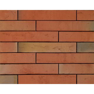 Megaline Dark Red Multi