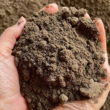 Top Soil Top Soil