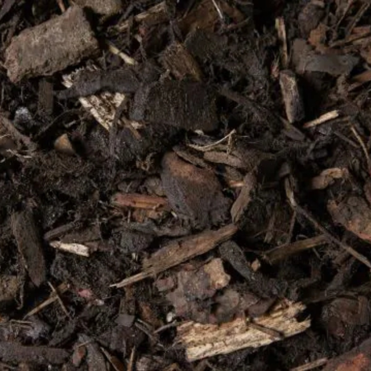 Bark Mulch Bark Mulch